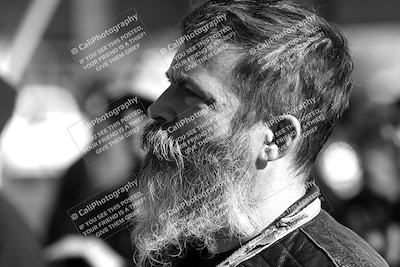 media/Mar-08-2025-TrackXperience (Sat) [[277b597a28]]/1-Around the Pits - Pre Grid/